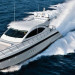 Mangusta 72
